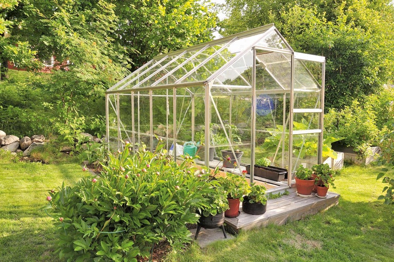 Serre de jardin avec des plantes