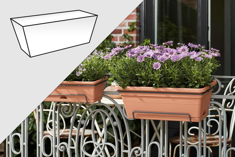 Deux jardinières de balcon rectangulaires, couleur terre cuite, avec supports, plantées de marguerites violettes sur un garde-corps de balcon décoratif.