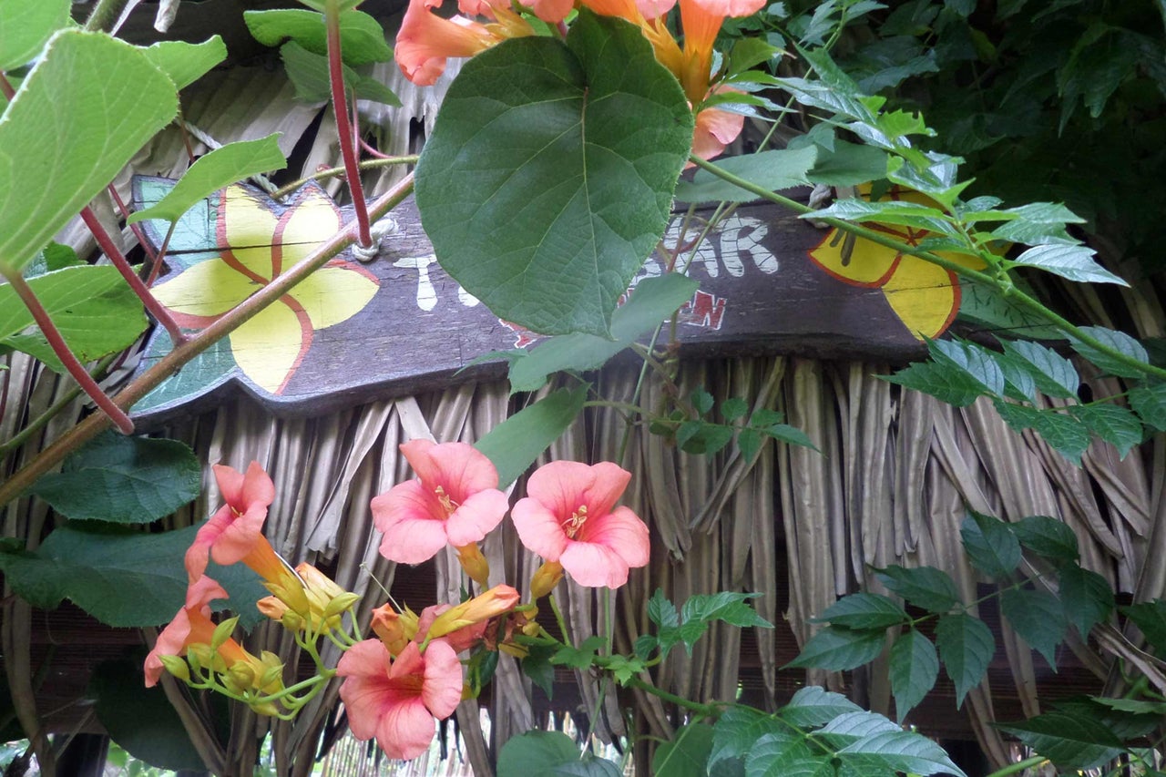 Panneau décoratif en bois avec motif floral et plantes grimpantes en fleurs devant un fond de paille.