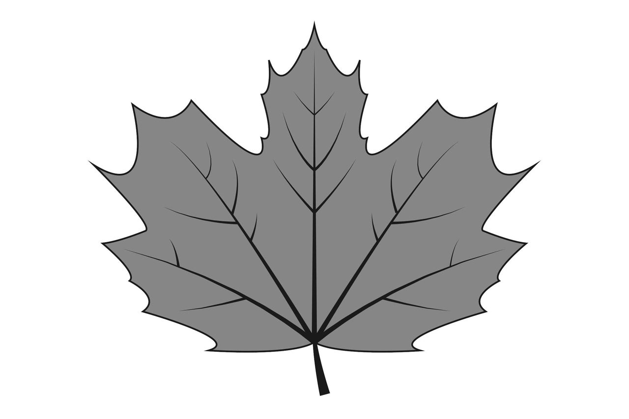 Feuille d'érable