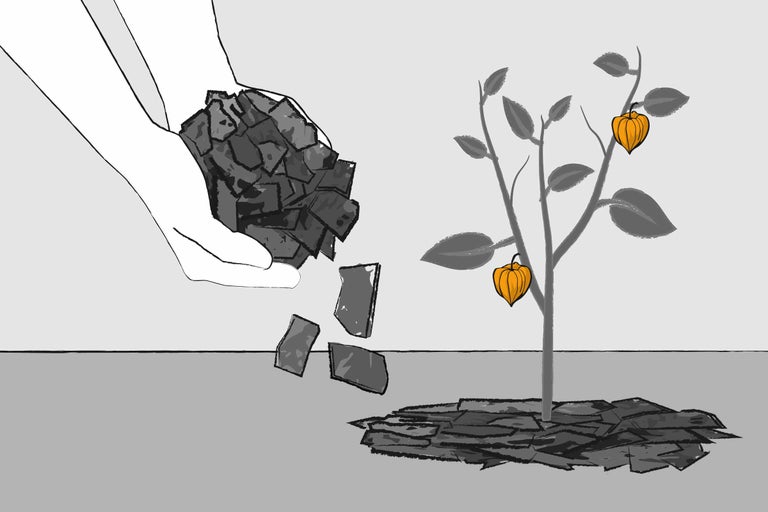 Illustration de mains posant des pierres autour d'une plante