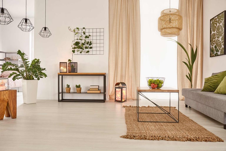 Salon avec canapé, table, tapis et plantes