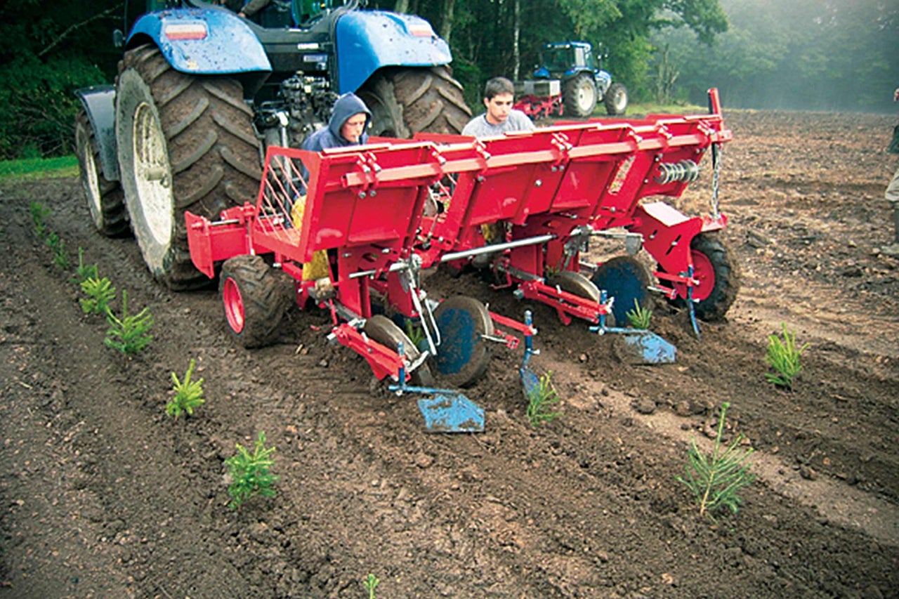Szene eines Traktors mit Setzmaschine bei der Baumverpflanzung auf einem Feld.