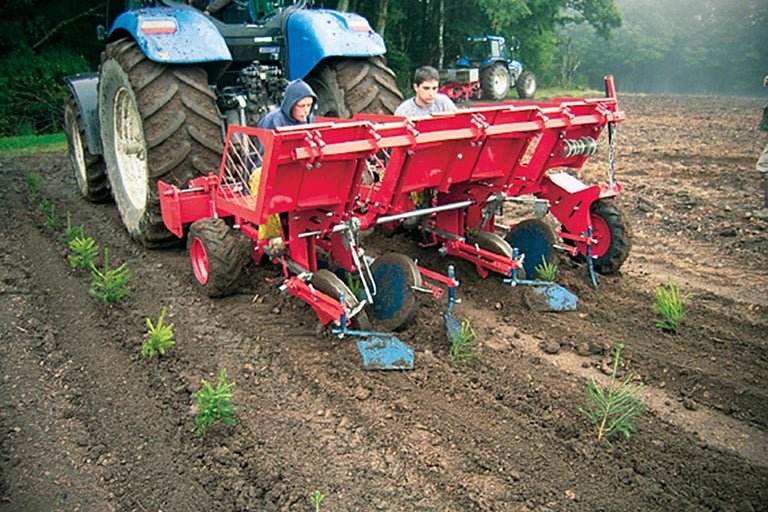 Scène d'un tracteur avec une machine à planter transplantant des arbres dans un champ.