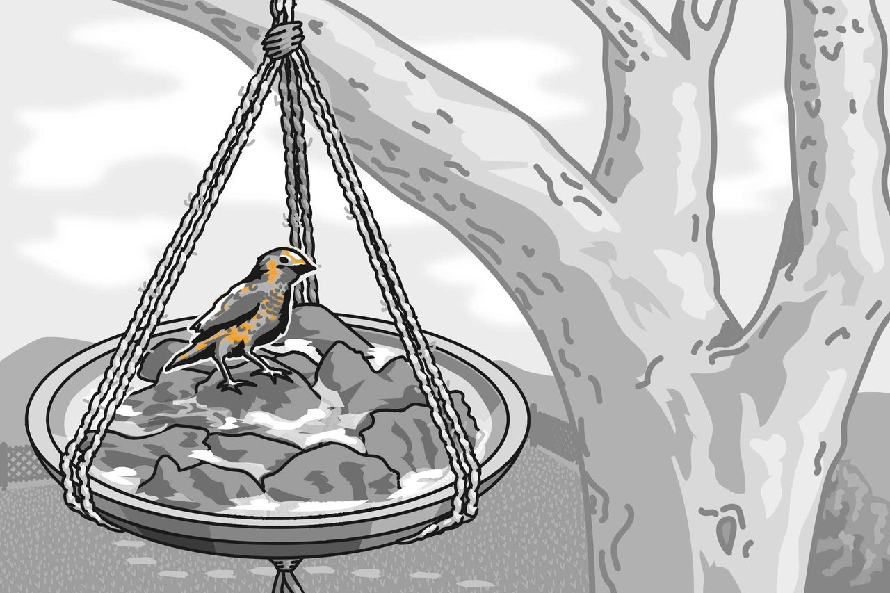 Illustration einer hängenden Vogeltränke mit einem Vogel in einem Baum