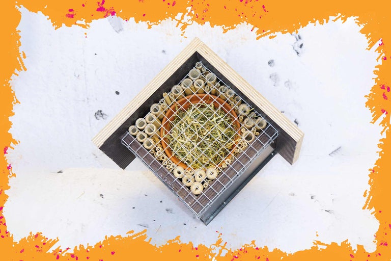 Hôtel à insectes avec des tubes de bambou et du matériel de remplissage pour différents types d'insectes