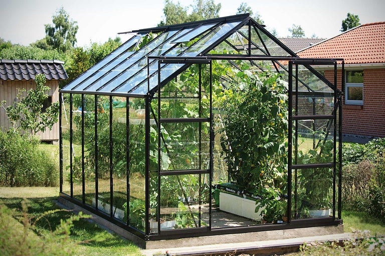 Serre avec des plantes dans un jardin