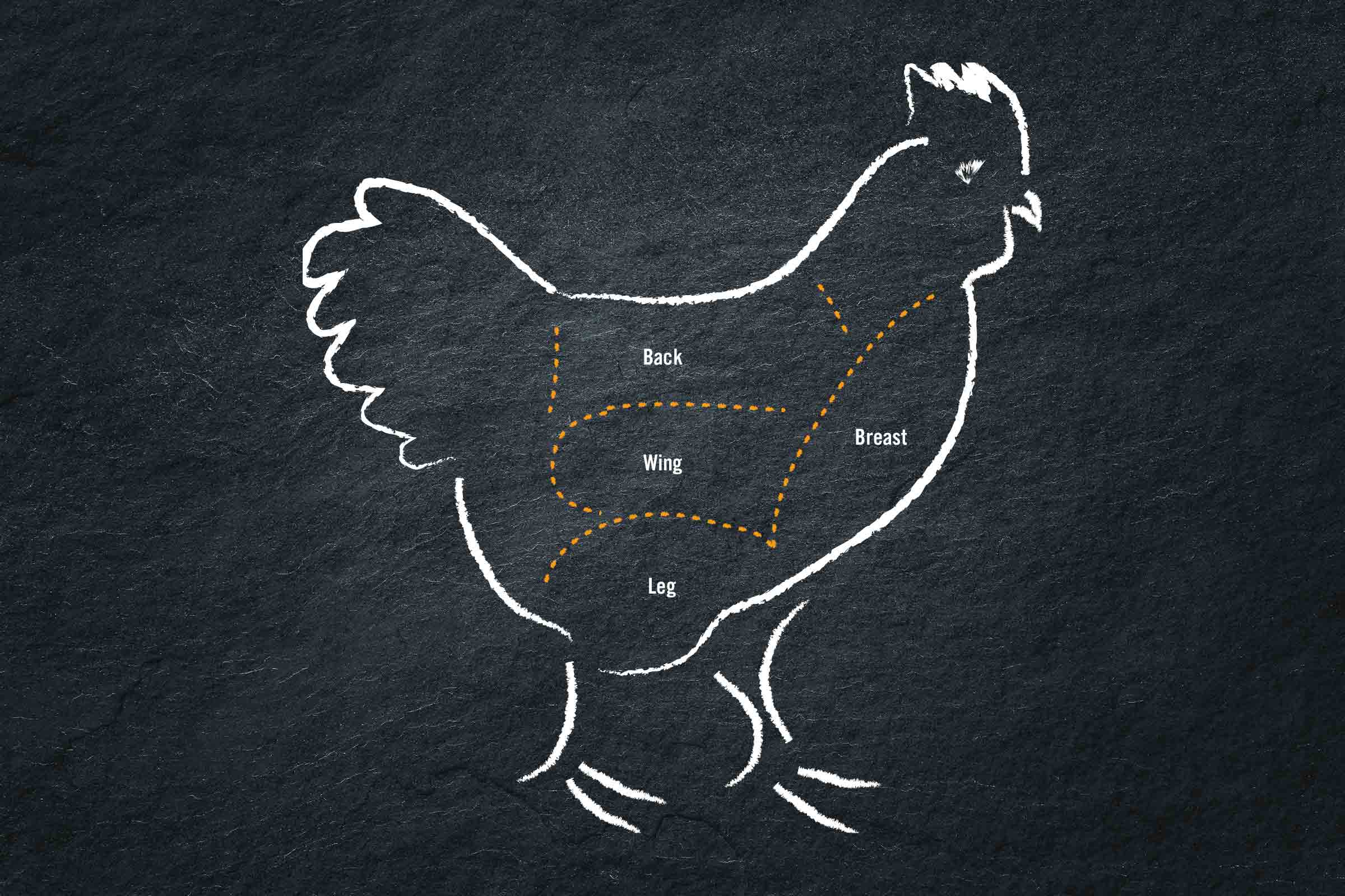 Illustration d'une poule avec marquage des morceaux de viande