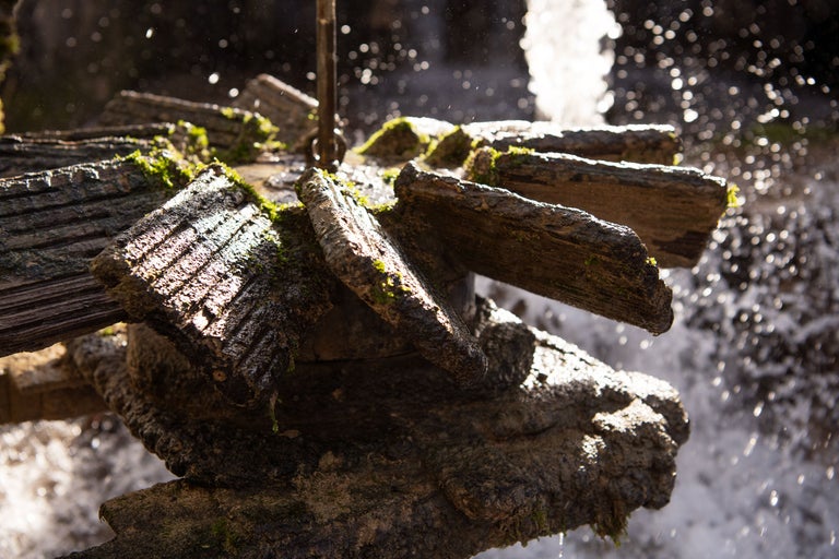 Nahaufnahme eines Wasserrads mit Moos