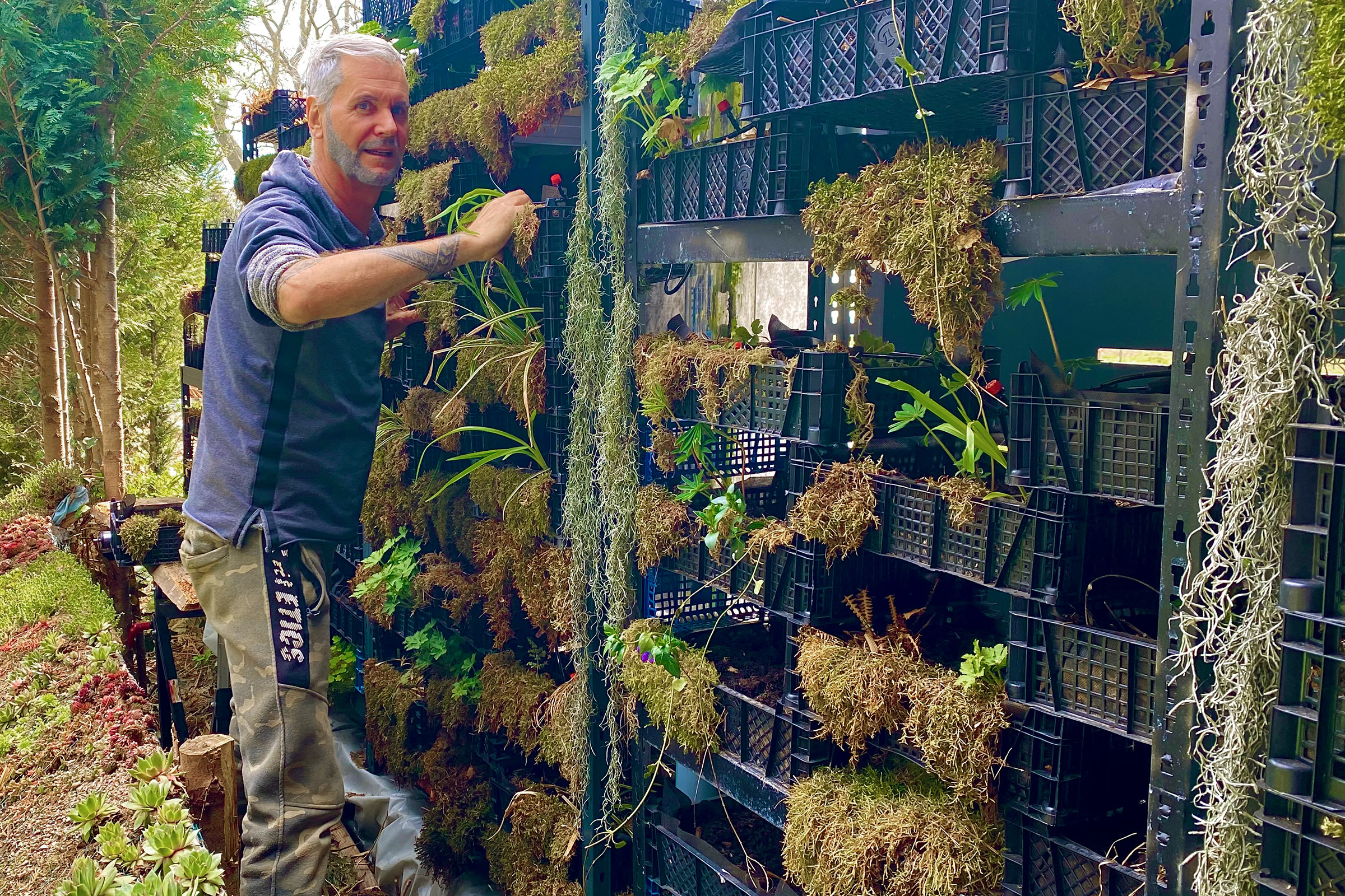 Homme plantant un jardin vertical avec diverses plantes dans des pots noirs.