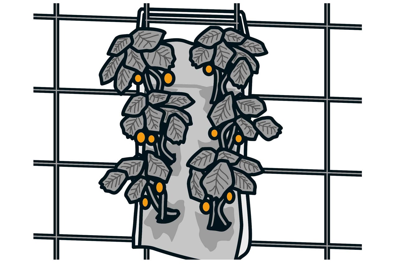 Illustration d'un sac de jardin vertical avec des plantes et des fruits devant un grillage.