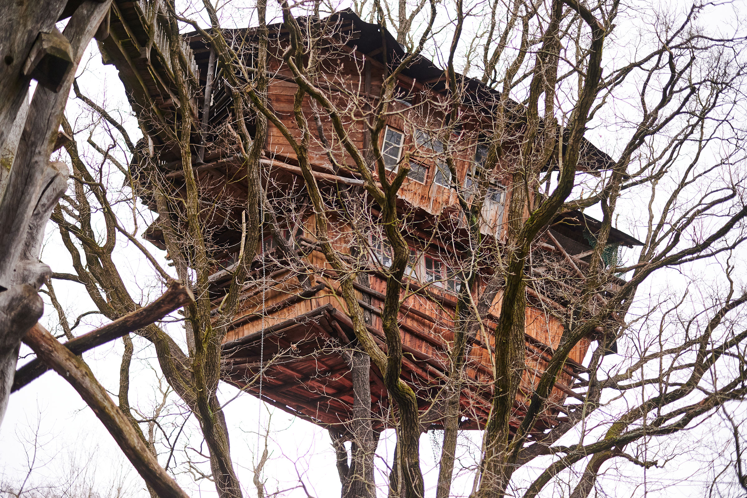 Baumhaus aus Holz inmitten von Bäumen.