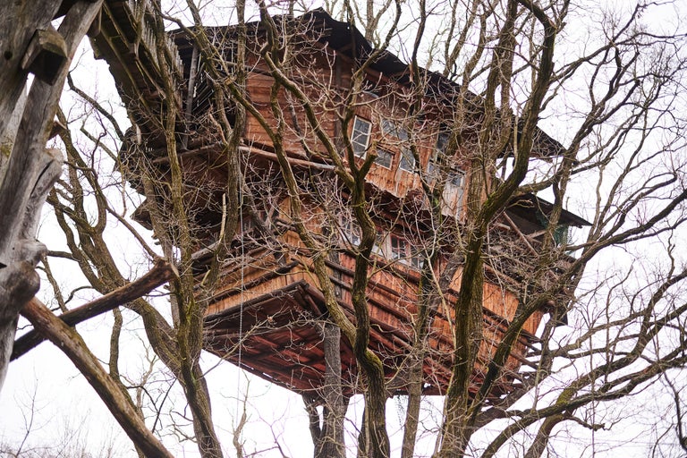 Baumhaus aus Holz inmitten von Bäumen.