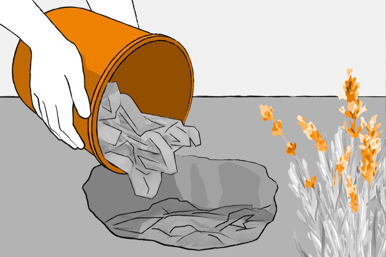 Illustration einer Hand, die zerknittertes Papier aus einem Pflanztopf auf eine Mulchscheibe leert, mit Lavendel im Hintergrund.