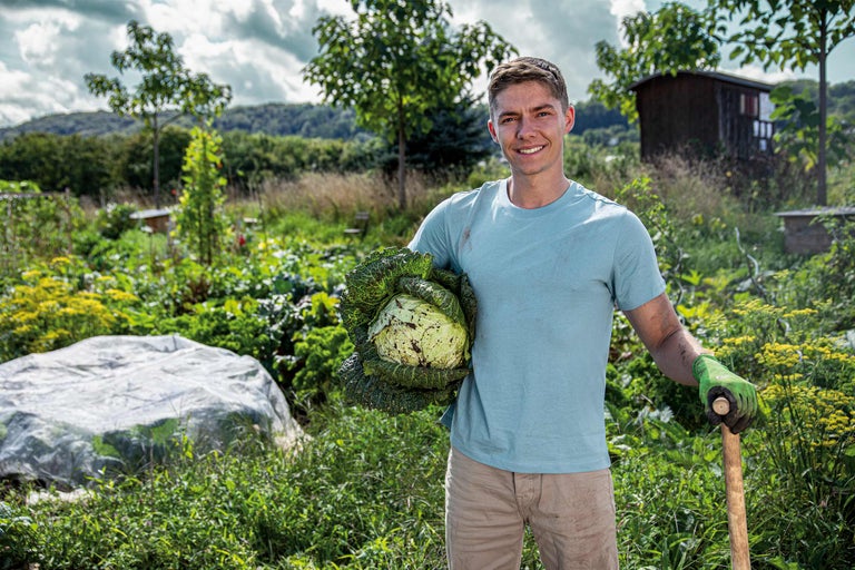 Lachender Mann hält Kohlkopf im Garten.