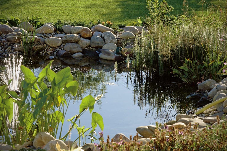 Bassin de jardin avec des pierres, des plantes et une figurine de bassin