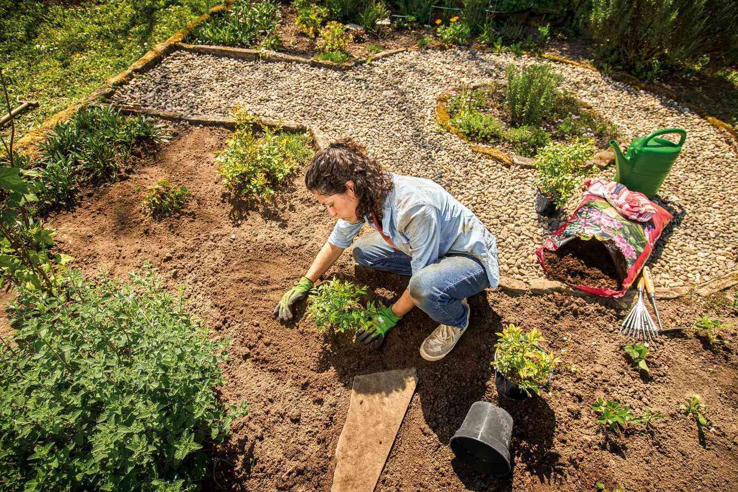 Une femme plante des semis dans un jardin avec des chemins de gravier et diverses plantes.