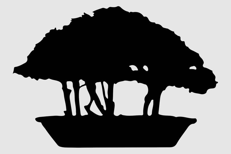 Silhouette d'un bonsaï dans un pot