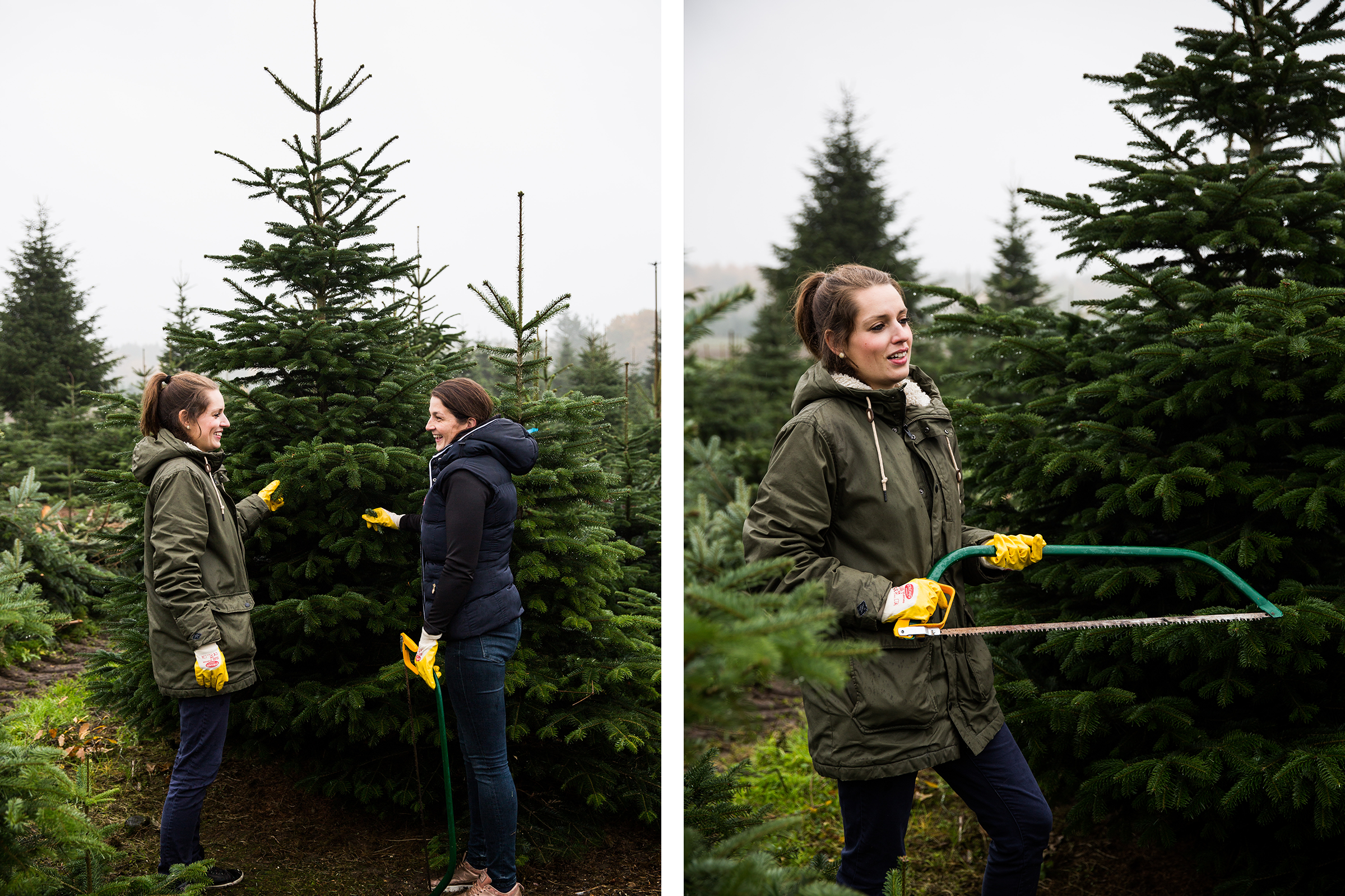Zwei Frauen wählen im Freien einen Weihnachtsbaum aus, eine hält eine Baumsäge.