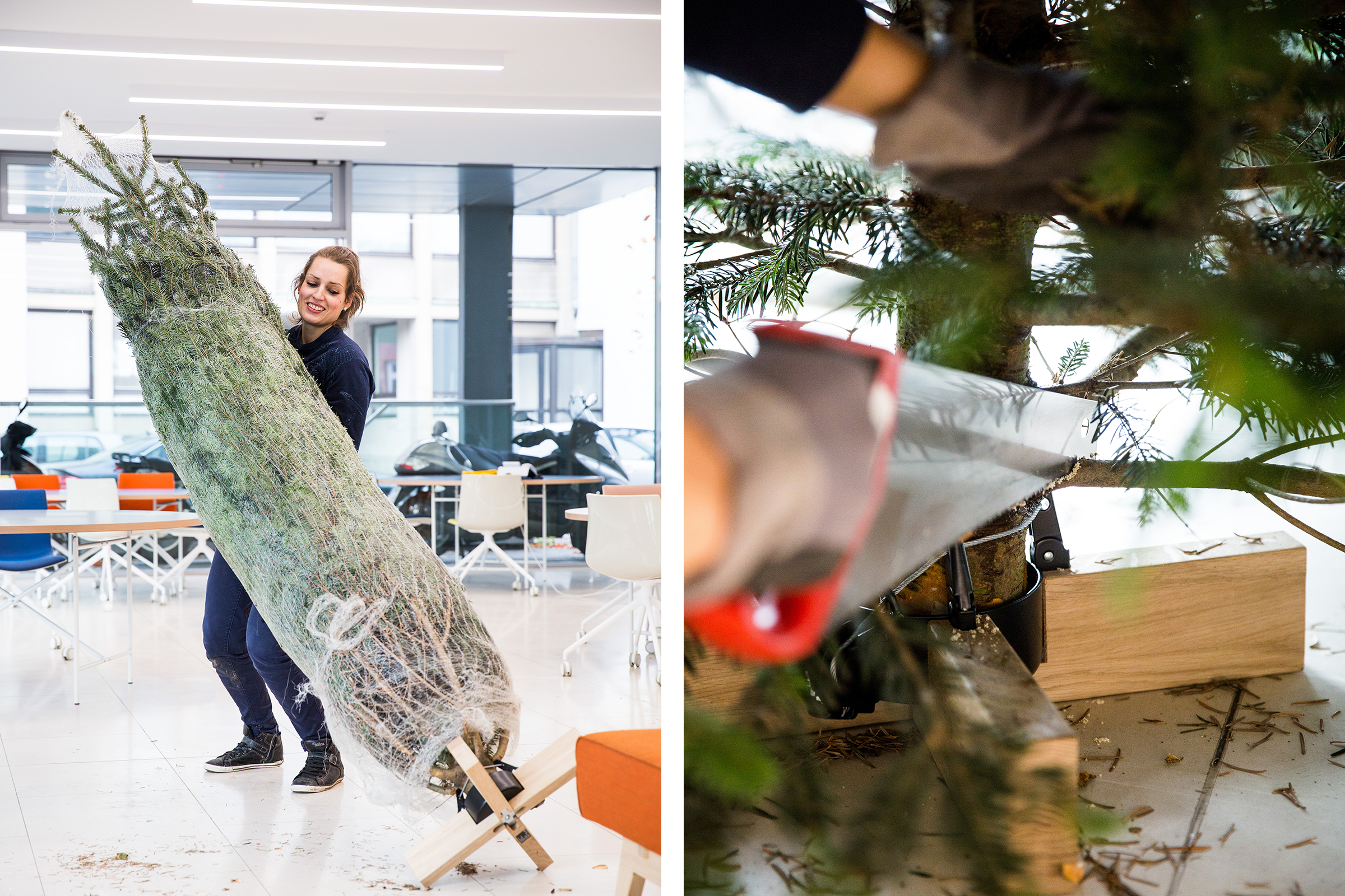 Frau trägt verpackten Weihnachtsbaum; Weihnachtsbaum wird mit einer Säge beschnitten