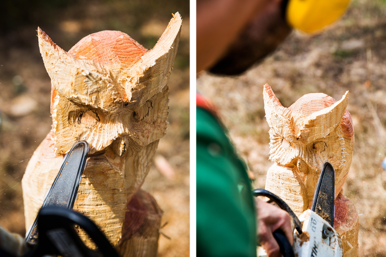 Sculpture sur bois : hibou sculpté à la tronçonneuse