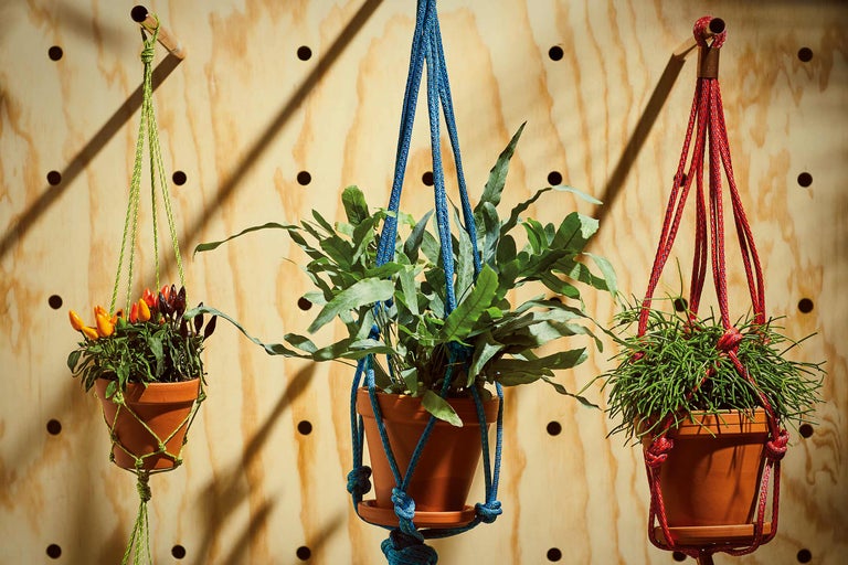 Trois plantes suspendues dans des suspensions pour plantes en macramé