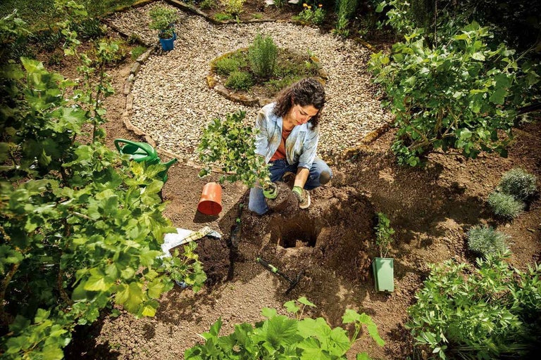 Une femme plante une plante dans un parterre de jardin