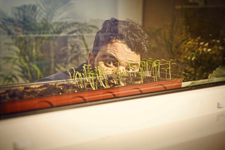Semer et cultiver des plantes