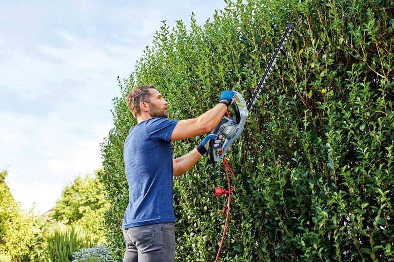Un homme taille une haie avec un taille-haie dans le jardin