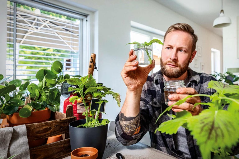 Un homme observe des boutures de plantes dans des bocaux en verre, entouré de pots de fleurs et d'outils de jardinage.
