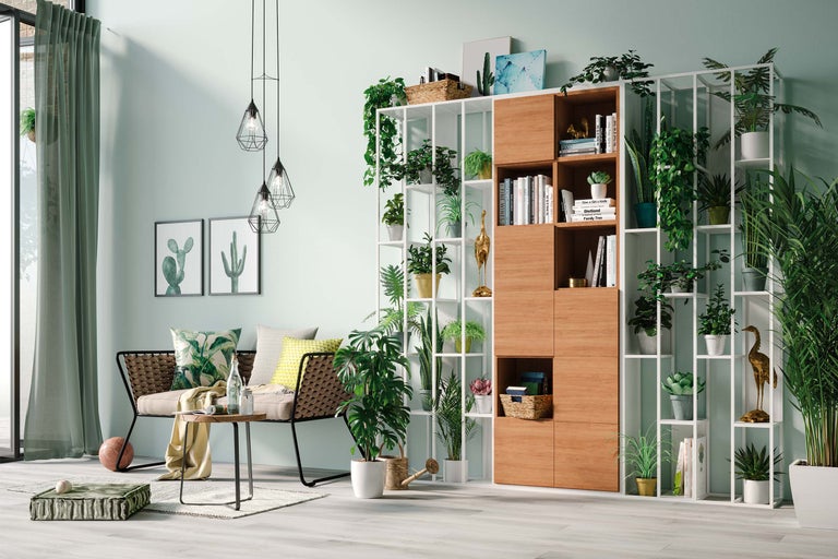 Salon avec canapé, table et étagère remplie de plantes et de décorations
