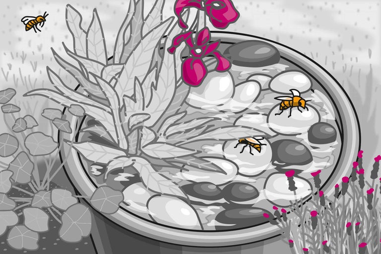 Illustration d'une jardinière avec des plantes, des pierres et des abeilles