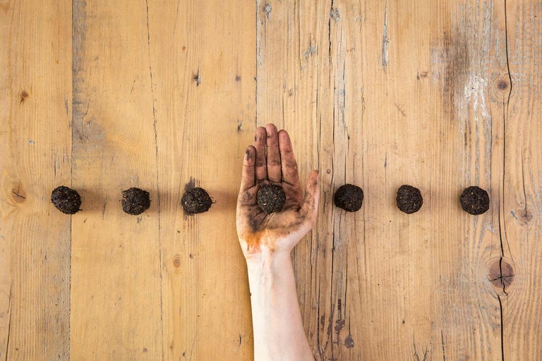 Une main tient une bombe de graines, entourée d'autres boules de graines sur une table en bois.