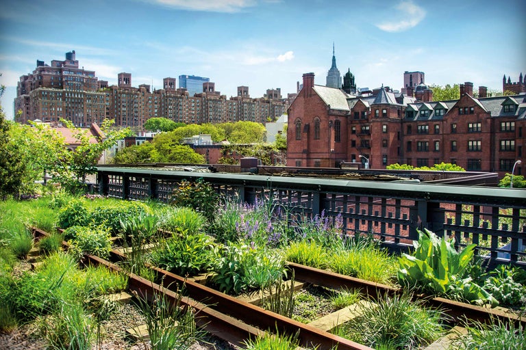 Urban Gardening