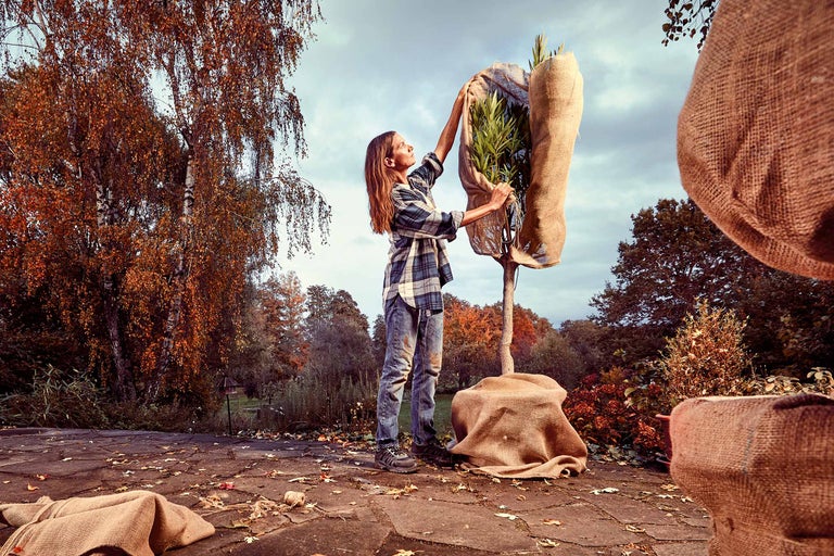 Eine junge Frau packt eine Pflanze im Garten aus einem Jutesack aus. Im Hintergrund sind herbstliche Bäume zu sehen.