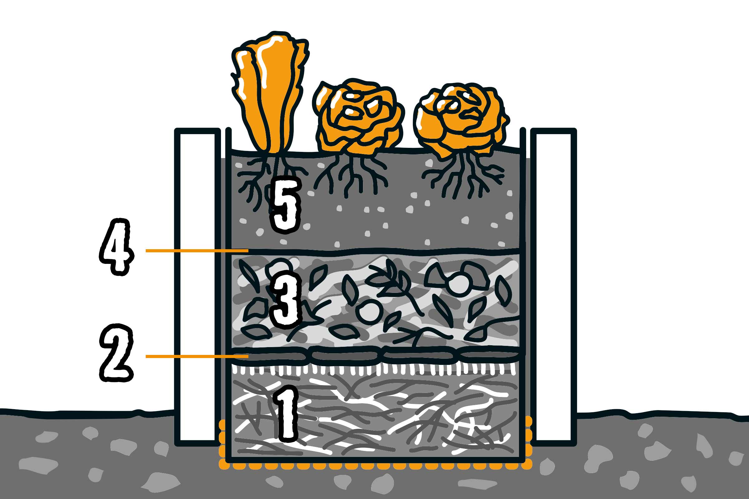 Illustration eines Hochbeets im Querschnitt mit Schichten aus Hackschnitzeln, Reisig, Kompost und Erde mit Bepflanzung