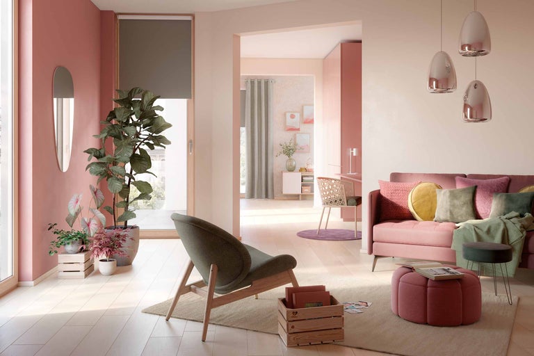 Salon avec sièges, plantes d'intérieur et éléments décoratifs dans un design clair et organisé
