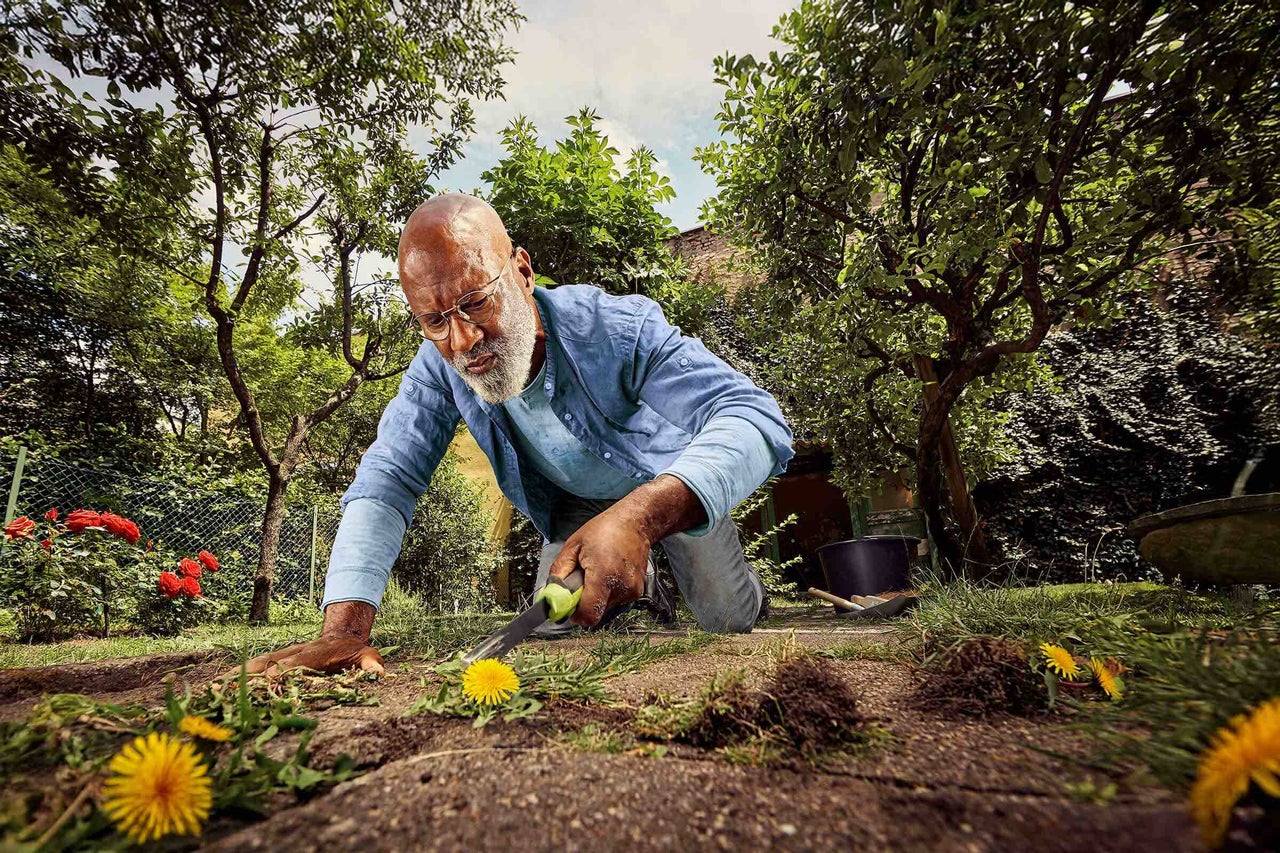 Un homme agenouillé dans le jardin enlève les mauvaises herbes avec un couteau à désherber.