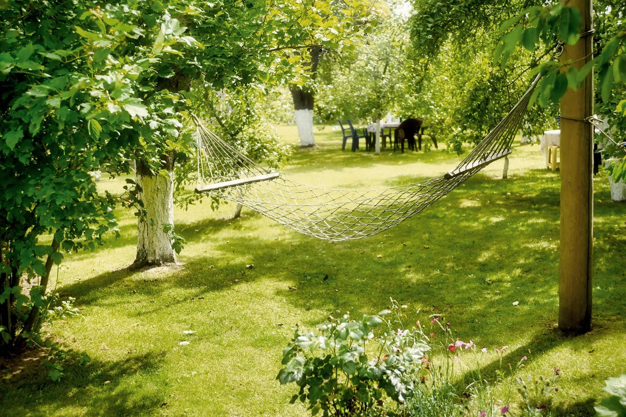 Hamac installé dans le jardin entre les arbres