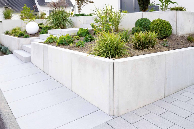 Jardin aménagé avec mur en béton et plantations