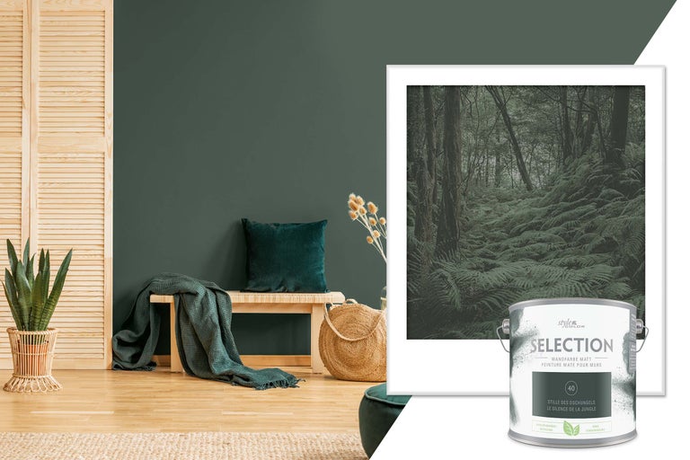 Dekorative Wohnszene mit Style Color Selection Wandfarbe, Farbton Stille des Dschungels, mit Bank, Kissen und Zimmerpflanze