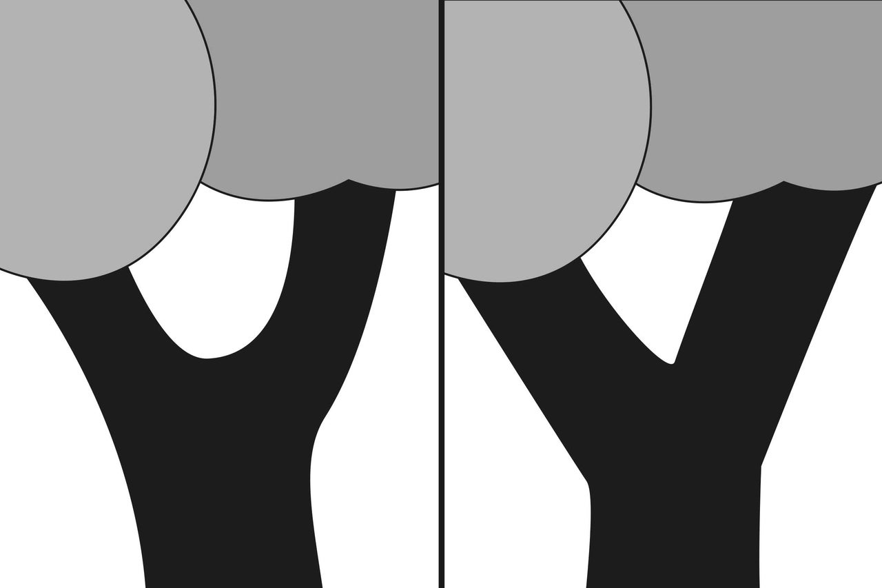 Graphique représentant un arbre