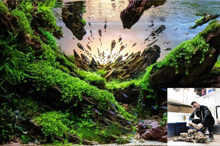 Aquascaping Aquarium mit Steinen und Pflanzen sowie ein Bild eines Mannes, der Aquariendekoration für ein Unterwasserlandschaftsdesign anordnet.