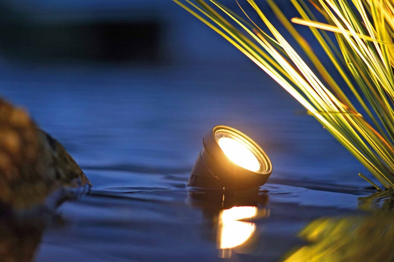 Teichleuchte im Wasser mit Wasserpflanzen im Hintergrund
