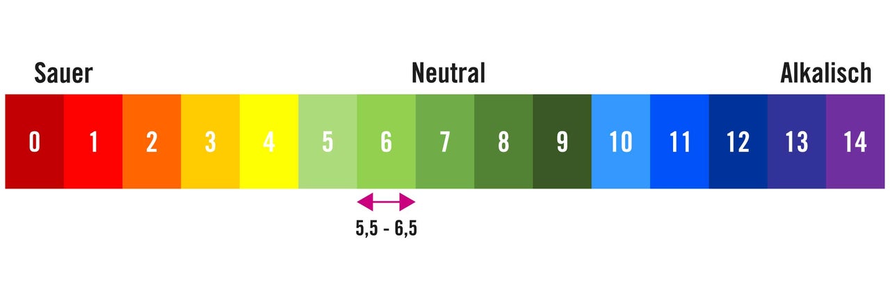 PH Wert Skala von sauer bis alkalisch