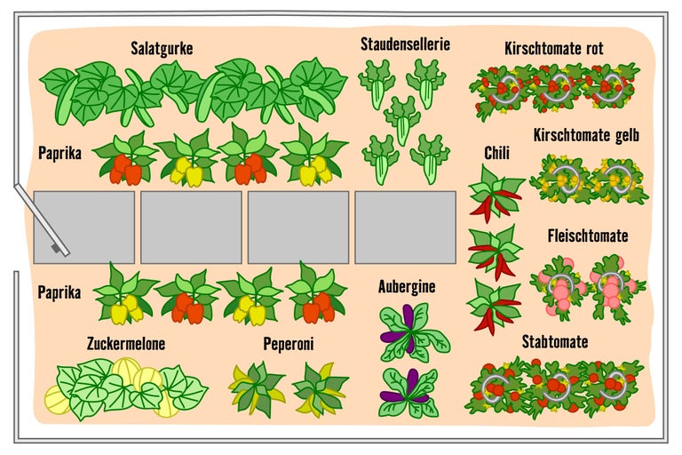 Illustration eines Gemüsebeets mit Salatgurken, Paprika, Staudensellerie, roten und gelben Kirschtomaten, Chili, Fleischtomaten, Stabtomaten, Wassermelone, Peperoni und Aubergine