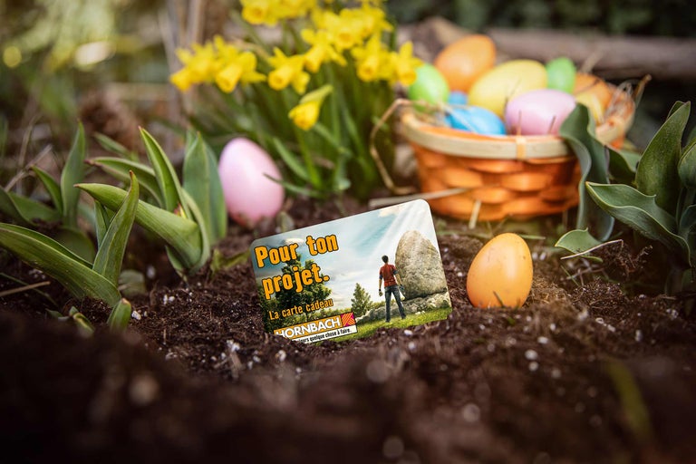 Carte cadeau Hornbach pour projets dans un parterre de jardin lumineux avec de la terre, des œufs de Pâques, un panier en osier et des jonquilles.