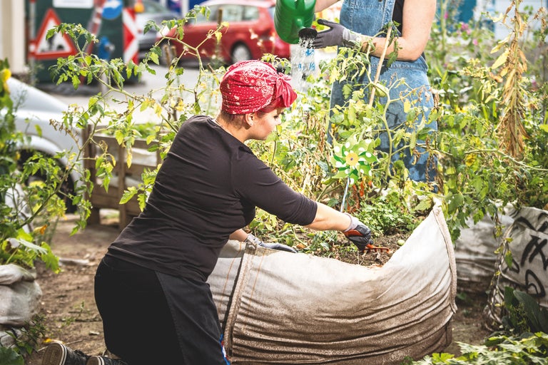 Deux personnes arrosent et plantent un potager surélevé dans le jardin.