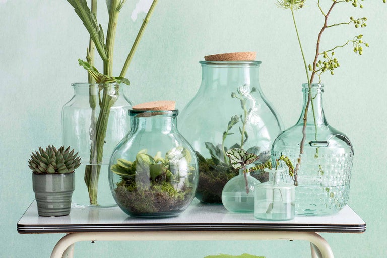 Divers vases en verre avec des plantes et des fleurs sur une table