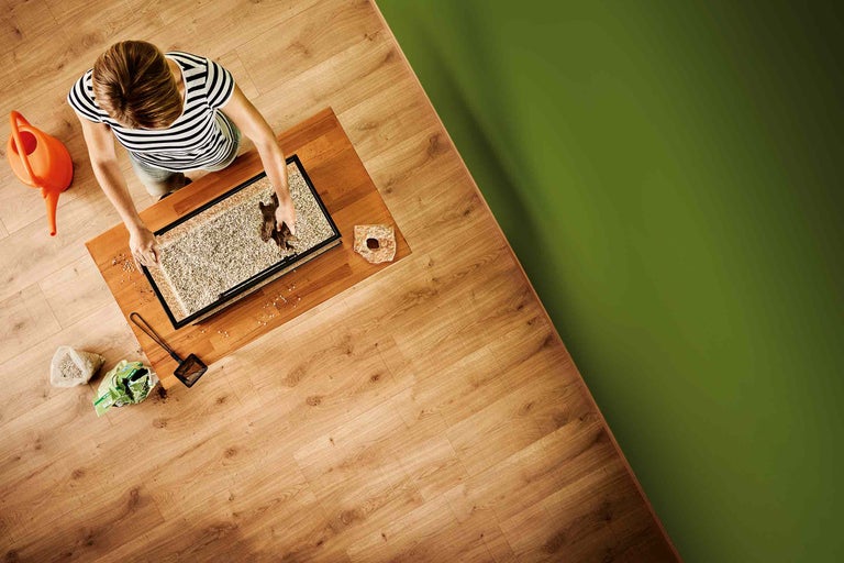 Eine Person richtet ein Aquarium mit Bodengrund, Wurzelholz und Dekoration auf einem Holztisch ein.